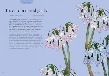 Blossom: Practical and Creative Ways to Find Wonder in the Floral World - Adriana Picker [KSIĄŻKA]