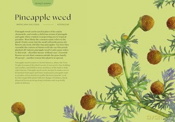 Blossom: Practical and Creative Ways to Find Wonder in the Floral World - Adriana Picker [KSIĄŻKA]