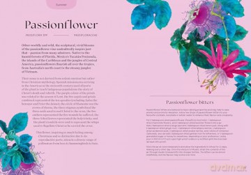 Blossom: Practical and Creative Ways to Find Wonder in the Floral World - Adriana Picker [KSIĄŻKA]