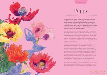 Blossom: Practical and Creative Ways to Find Wonder in the Floral World - Adriana Picker [KSIĄŻKA]