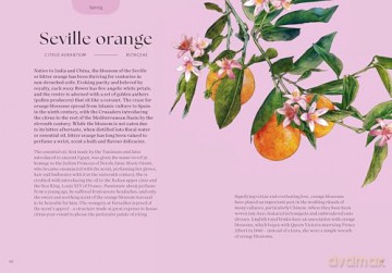 Blossom: Practical and Creative Ways to Find Wonder in the Floral World - Adriana Picker [KSIĄŻKA]