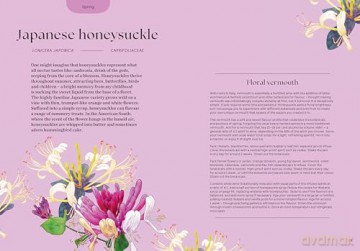 Blossom: Practical and Creative Ways to Find Wonder in the Floral World - Adriana Picker [KSIĄŻKA]