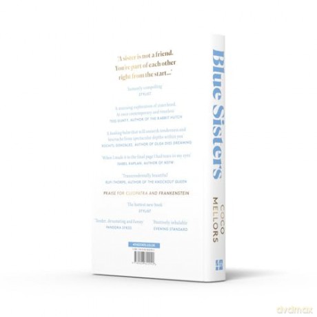 Blue Sisters: The instant top ten bestseller from the author of Cleopatra and Frankenstein - Coco Mellors [KSIĄŻKA]
