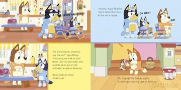 Bluey: Trains - Bluey [KSIĄŻKA]