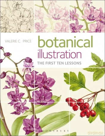 Botanical Illustration: The first ten lessons - Price Valerie [KSIĄŻKA]