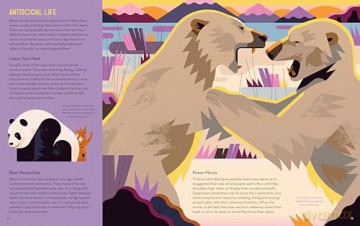 Brainy About Bears (About Animals) - Owen Davey [KSIĄŻKA]