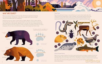 Brainy About Bears (About Animals) - Owen Davey [KSIĄŻKA]