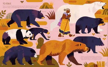 Brainy About Bears (About Animals) - Owen Davey [KSIĄŻKA]