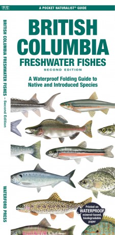 British Columbia Freshwater Fishes: A Waterproof Folding Guide to Native and Introduced Species (Pocket Naturalist Guide) - Matthew Morris [KSIĄŻKA]