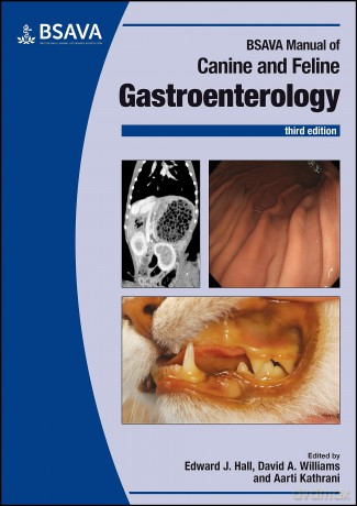 BSAVA Manual of Canine and Feline Gastroenterology (BSAVA British Small Animal Veterinary Association) [KSIĄŻKA]