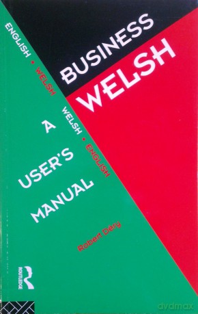 Business Welsh: A User's Manual - Robert Dery [KSIĄŻKA]
