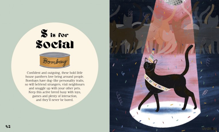 Catphabet: A whimsical celebration of our favourite feline friends, for fans of Grumpy Cat and What Cats Want - Harper By Design [KSIĄŻKA]