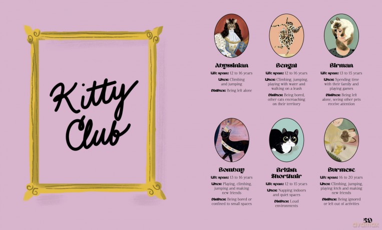 Catphabet: A whimsical celebration of our favourite feline friends, for fans of Grumpy Cat and What Cats Want - Harper By Design [KSIĄŻKA]