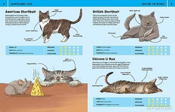 Cats: An Illustrated to Guide to Cool Cats (1): An illustrated guide to 80 cool cats, from impressive wild cats to cuddly companions! - Emily Kington [KSIĄŻKA]