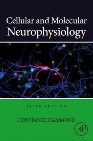 Cellular and Molecular Neurophysiology - Constance Hammond [KSIĄŻKA]