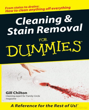 Cleaning and Stain Removal for Dummies - Gill Chilton [KSIĄŻKA]