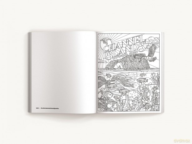 Color Me National Parks: An Adventurous Coloring Book - Cider Mill Press [KSIĄŻKA]