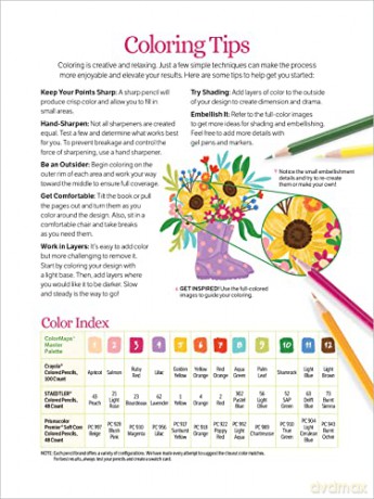 ColorMaps: Garden: Color-Coded Patterns Adult Coloring Book (ColorMaps): 5 - Olivia Gibbs [KSIĄŻKA]