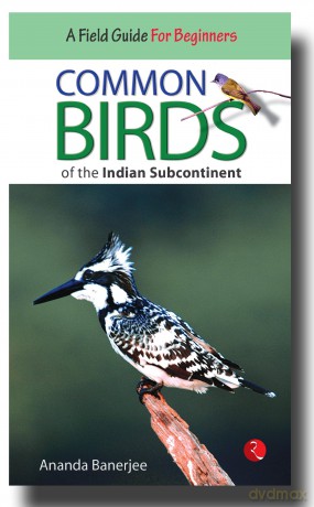 Common Birds of the Indian Subcontinent - Ananda Banerjee [KSIĄŻKA]