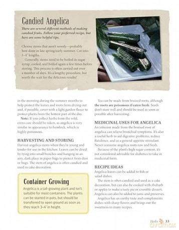 Complete Guide to Growing and Cultivating Herbs and Spices: Expert Advice for Planting Indoors and Outdoors, the Best Containers, and Storage - Linda Gray [KSIĄŻKA]