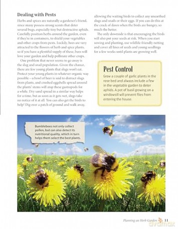 Complete Guide to Growing and Cultivating Herbs and Spices: Expert Advice for Planting Indoors and Outdoors, the Best Containers, and Storage - Linda Gray [KSIĄŻKA]