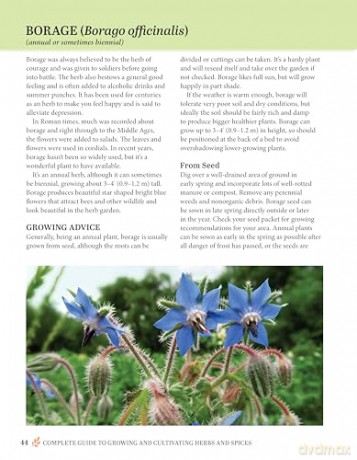 Complete Guide to Growing and Cultivating Herbs and Spices: Expert Advice for Planting Indoors and Outdoors, the Best Containers, and Storage - Linda Gray [KSIĄŻKA]