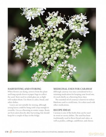 Complete Guide to Growing and Cultivating Herbs and Spices: Expert Advice for Planting Indoors and Outdoors, the Best Containers, and Storage - Linda Gray [KSIĄŻKA]
