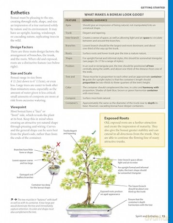Complete Starter Guide to Bonsai: Growing from Seed or Seedling--Wiring, Pruning, Care, and Display - David Squire [KSIĄŻKA]