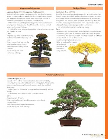 Complete Starter Guide to Bonsai: Growing from Seed or Seedling--Wiring, Pruning, Care, and Display - David Squire [KSIĄŻKA]