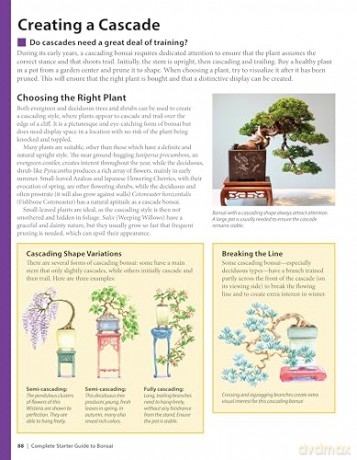 Complete Starter Guide to Bonsai: Growing from Seed or Seedling--Wiring, Pruning, Care, and Display - David Squire [KSIĄŻKA]