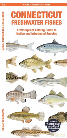 Connecticut Freshwater Fishes: A Waterproof Folding Guide to Native and Introduced Species (Pocket Naturalist Guide) - Waterford Press [KSIĄŻKA]