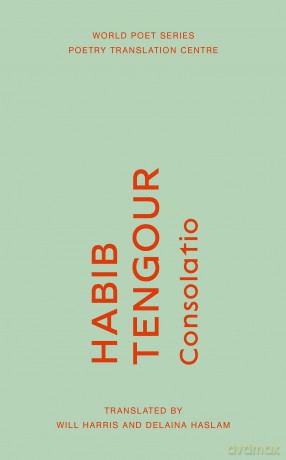 Consolatio: 29 (World Poet Series) - Habib Tengour [KSIĄŻKA]