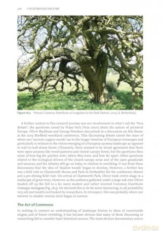 Countryside History: Essays in honour of Oliver Rackham: The Life and Legacy of Oliver Rackham - Ian D. Rotherham [KSIĄŻKA]