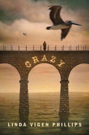 Crazy [KSIĄŻKA]