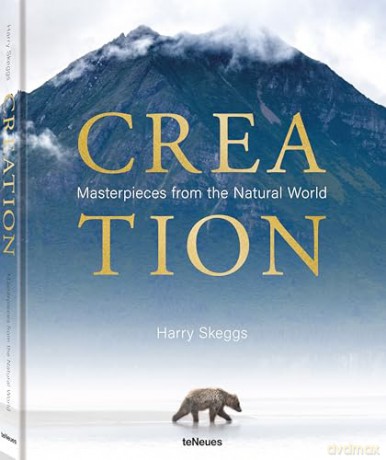 Creation: Masterpieces from the Natural World - Harry Skeggs [KSIĄŻKA]