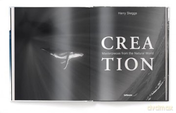 Creation: Masterpieces from the Natural World - Harry Skeggs [KSIĄŻKA]
