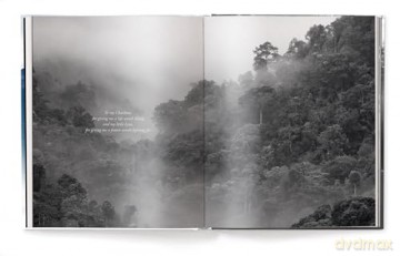 Creation: Masterpieces from the Natural World - Harry Skeggs [KSIĄŻKA]