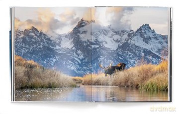 Creation: Masterpieces from the Natural World - Harry Skeggs [KSIĄŻKA]