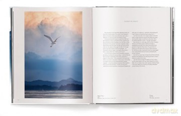 Creation: Masterpieces from the Natural World - Harry Skeggs [KSIĄŻKA]