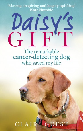 Daisy's Gift: The remarkable cancer-detecting dog who saved my life - Claire Guest [KSIĄŻKA]
