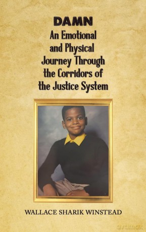 DAMN: An Emotional and Physical Journey Through the Corridors of the Justice System - Wallace Sh Winstead [KSIĄŻKA]