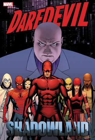 Daredevil: Shadowland Omnibus Cassaday Cover (New Printing) - Andy Et Al Diggle [KSIĄŻKA]