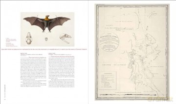 Daring French Explorations: Trailblazing Adventures around the World: 1714-1854, Featuring Bougainville, Lapérouse, Dumont d'Urville, and more - Hubert Sagnires [KSIĄŻKA]