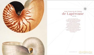 Daring French Explorations: Trailblazing Adventures around the World: 1714-1854, Featuring Bougainville, Lapérouse, Dumont d'Urville, and more - Hubert Sagnires [KSIĄŻKA]