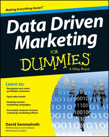 Data Driven Marketing FD (For Dummies) - David Semmelroth [KSIĄŻKA]