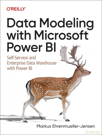 Data Modeling with Microsoft Power BI: Self-Service and Enterprise Data Warehouse with Power BI - Mark Enrenmueller J [KSIĄŻKA]