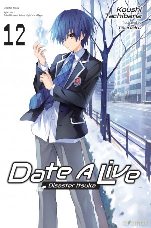 Date A Live, Vol. 12 (light novel): Volume 12 (DATE A LIVE LIGHT NOVEL SC) - Koushi Tachibana [KSIĄŻKA]