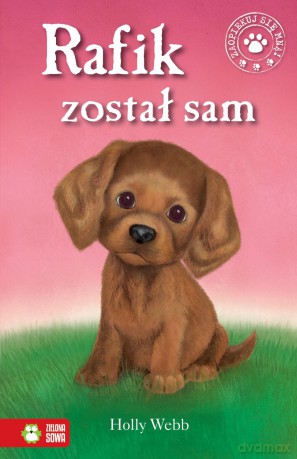 Rafik Został Sam - Holly Webb [KSIĄŻKA]