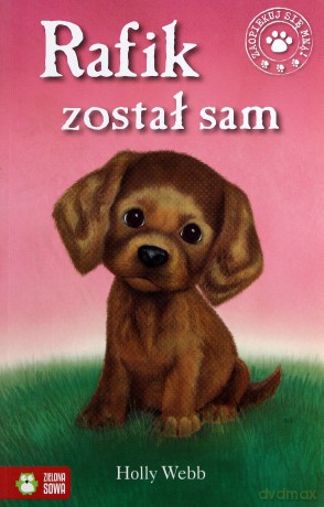 Rafik Został Sam - Holly Webb [KSIĄŻKA]