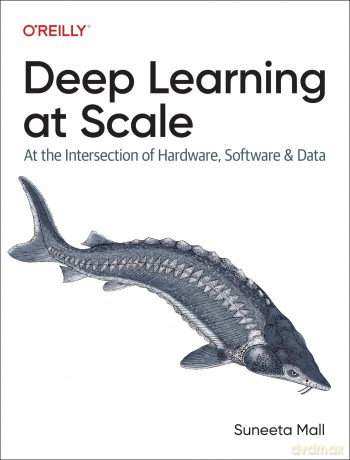 Deep Learning at Scale: At the Intersection of Hardware, Software, and Data - Suneeta Mall [KSIĄŻKA]